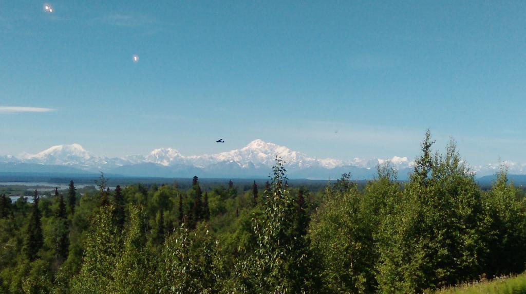 Talkeetna Love-Lee Cabins Hotel Esterno foto